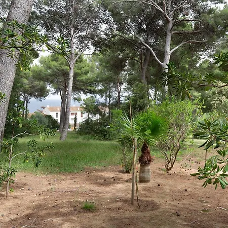 Casa de Férias Ca La Irene I